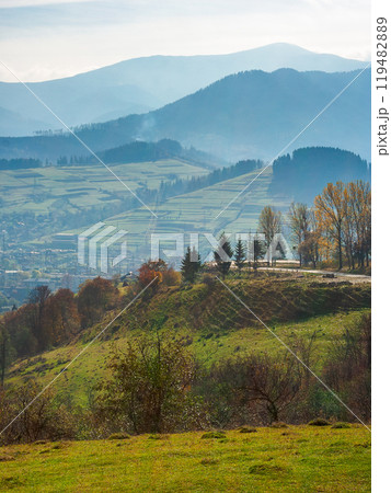 mountainous countryside landscape of ukraine in autumn. rolling outskirts on sunny day. rural fields on forested hills. nice scenery of carpathian mountains in fall season 119482889