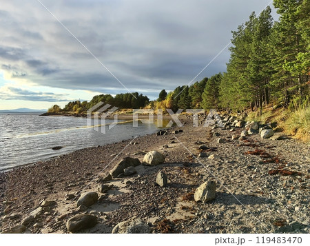 Vibrant shoreline along the White Sea in Kandalaksha, Murmansk region during golden hour. Kola Peninsula Vibrant shoreline along the White Sea in Kandalaksha, Murmansk region during golden hour. Kola Peninsula 119483470
