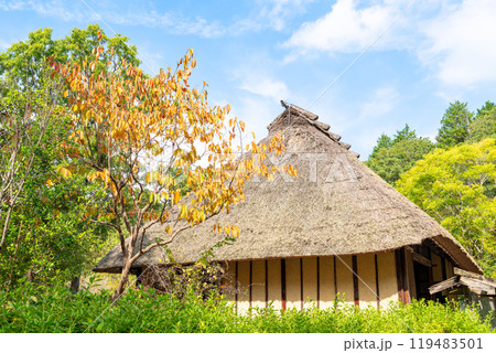 晩秋の古民家 晩秋の古民家 119483501