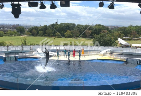 イルカショー2 119483808