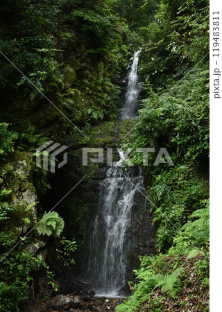 京都洛西、霊亀の滝の風景　松尾大社 119483811
