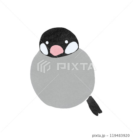 スタンプ風文鳥のイラスト 119483920
