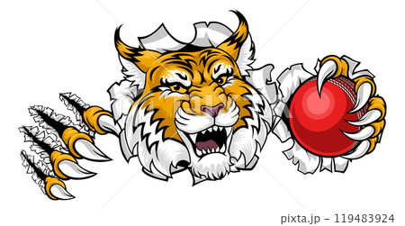 Wildcat Bobcat Cricket Ball Animal Team Mascot Wildcat Bobcat Cricket Ball Animal Team Mascot 119483924