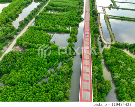 Aerial drone view of a concrete road cutting through a lush green mangrove forest, Mangroves capturing CO2 and serving as a natural carbon sink within the blue carbon ecosystem for net zero emissions 119484428