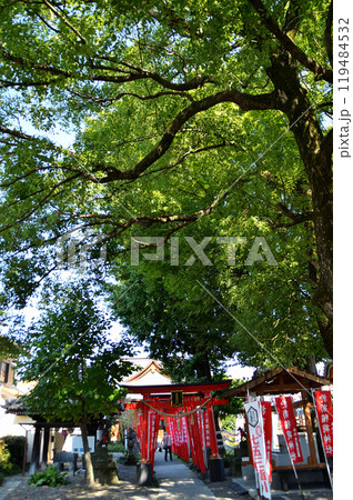 群馬県高崎市新町のパワースポット 於菊稲荷神社 群馬県高崎市新町のパワースポット 於菊稲荷神社 119484532