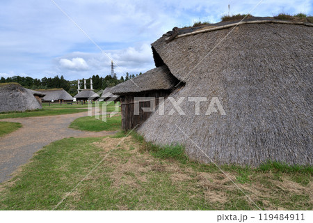 三内丸山遺跡　茅葺き竪穴建物　 119484911