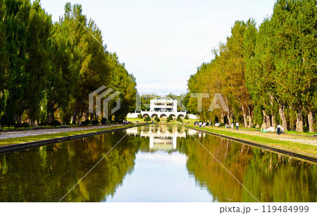 手稲森林公園のカナルに映る並木 119484999