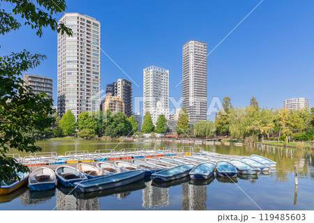 上野恩賜公園　不忍池 119485603