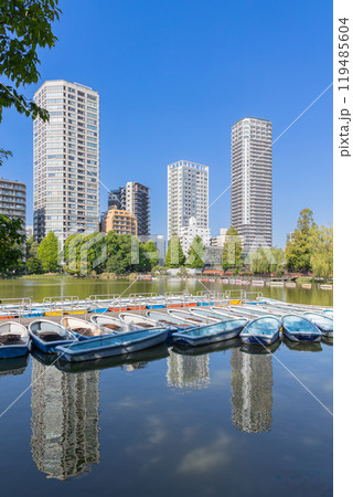 上野恩賜公園 不忍池 上野恩賜公園 不忍池 119485604