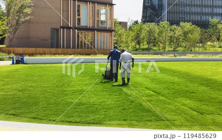 芝刈り機で公園の芝生を綺麗に　Clean the lawn at the park 119485629