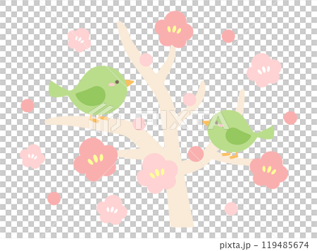 可愛的鶯和梅花的向量圖 119485674