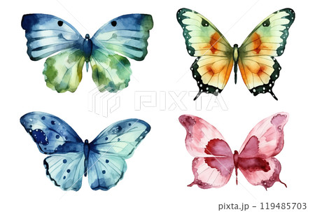 watercolor set vector illustration of tropical butterfly isolated on white background watercolor set vector illustration of tropical butterfly isolated on white background 119485703