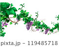 cartoon jungle liana on white background in flat style for icon 119485718