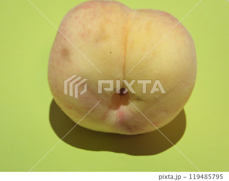 ジューシーな桃 119485795