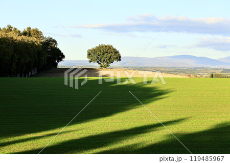 北海道美瑛町秋の風景 北海道美瑛町秋の風景 119485967