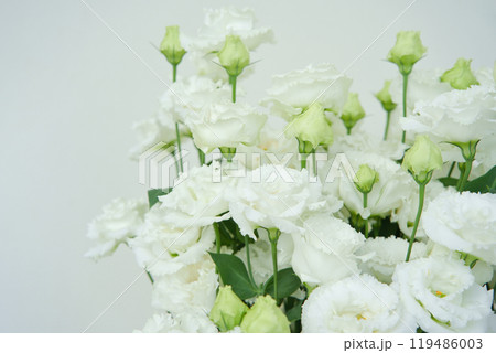 トルコギキョウ トルコギキョウ 119486003