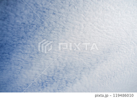 秋の空　うろこ雲 119486010