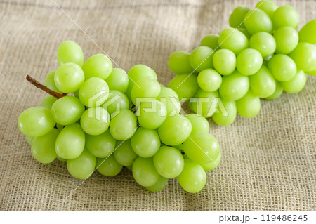 シャインマスカット シャインマスカット 119486245