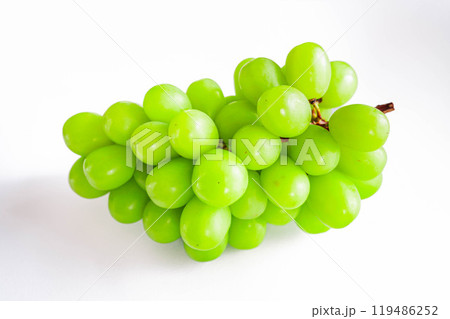 長野県産　シャインマスカット 119486252