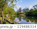 Sunny view of bird in Daan Forest Park 119486314