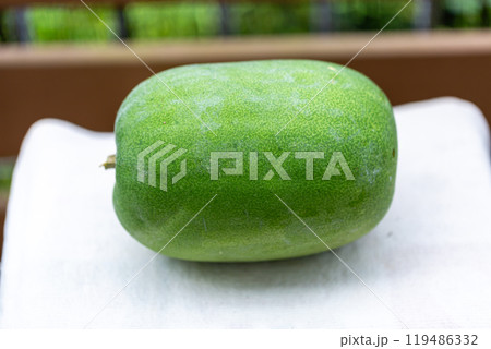 冬瓜 冬瓜 119486332