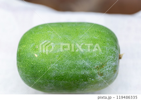 冬瓜 119486335