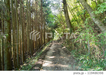 円成寺〜峠の茶屋の古道（柳生街道・滝坂の道） 119486398