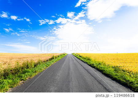 北海道美瑛町の秋の道 119486618