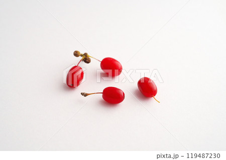 赤いサンシュユの実（秋、十月） 119487230