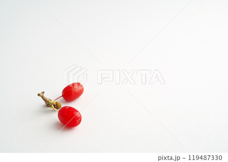 赤いサンシュユの実(秋、十月) 赤いサンシュユの実(秋、十月) 119487330