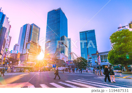 日本の東京都市景観 早朝の渋谷駅前。ボードには「NO　渋谷はハロウィーンをお休みします。NO….」 119487531
