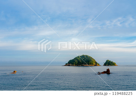 姫島樹林 山口県の天然記念物 姫島樹林 山口県の天然記念物 119488225