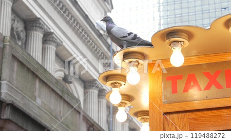 New York City Grand Central Terminal 42 street, Manhattan, USA. Yellow taxi kiosk telephone call box New York City Grand Central Terminal 42 street, Manhattan, USA. Yellow taxi kiosk telephone call box 119488272