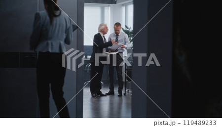 Team leader discussing business strategy of company with boss 119489233