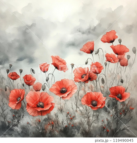 Vibrant red poppy flowers blooming in a serene landscape during a calm afternoon 119490045