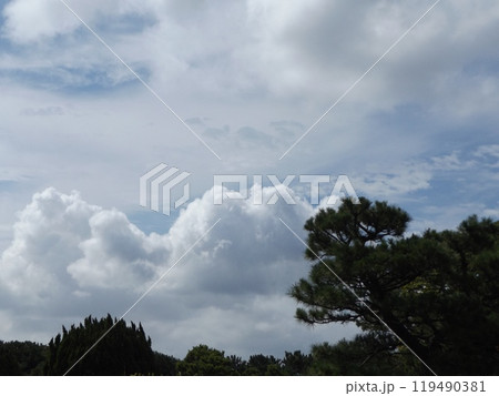 稲毛海浜公園の青い空と白い雲 119490381