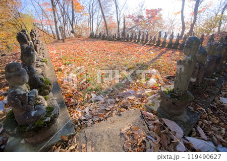嵩山、石仏が並ぶ無情の平 119490627