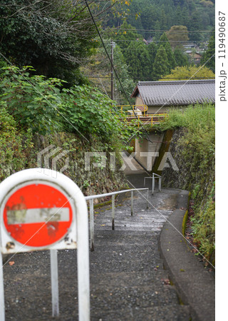 道 119490687