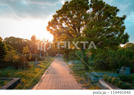 The path leading straight through the Christian cemetery in the rays of the setting sun. A secluded atmosphere 119491040