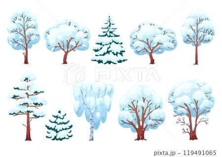 Cartoon winter trees. Snowy branches, coniferous and deciduous plants, christmas forest elements, pines, firs and birches, cold season nature. Vector flat style isolated illustration set Cartoon winter trees. Snowy branches, coniferous and deciduous plants, christmas forest elements, pines, firs and birches, cold season nature. Vector flat style isolated illustration set 119491065