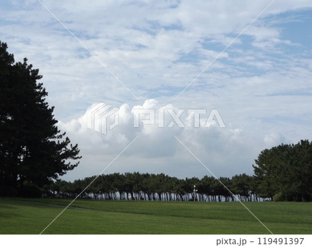 稲毛海浜公園の青い空と白い雲 稲毛海浜公園の青い空と白い雲 119491397