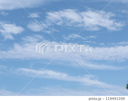 稲毛海浜公園の青い空と白い雲 119491399