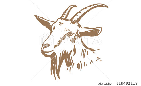 Goat. Vintage retro print, black white goat drawing, sketch ink pencil draw, engrave old school style. Sketch artwork silhouette goat with horns. Side view profile goat. Vector Illustration Goat. Vintage retro print, black white goat drawing, sketch ink pencil draw, engrave old school style. Sketch artwork silhouette goat with horns. Side view profile goat. Vector Illustration 119492118
