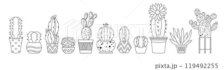 Line plants. Cactus flower, succulent logo in pot. Simple tropical home pattern, linear summer silhouette, homeland cacti blossom. Hand drawn isolated element for decor. Vector design icons 119492255