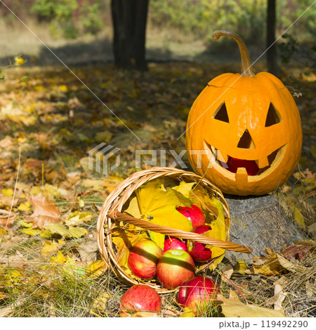 Pumpkin - head and basket with apples on a background of yellow leaves. 119492290