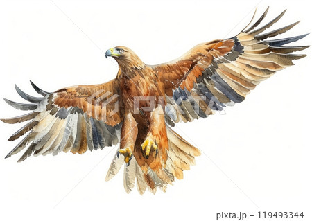 Eagle, bird, Pastel-colored, in hand-drawn style, watercolor, isolated on white background 119493344