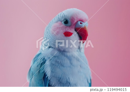 Parakeet, isolated on pastel background, stock photographic style 119494015