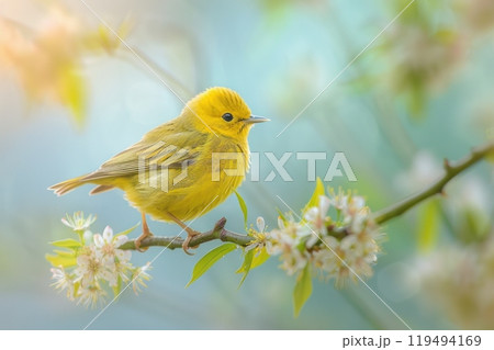 Warbler, isolated on pastel background, stock photographic style 119494169