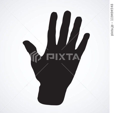 Palm. Vector drawing 119494548