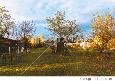 Golden autumn in the garden. Golden autumn in the garden. 119494836